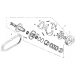 Driven Pulley and Clutch