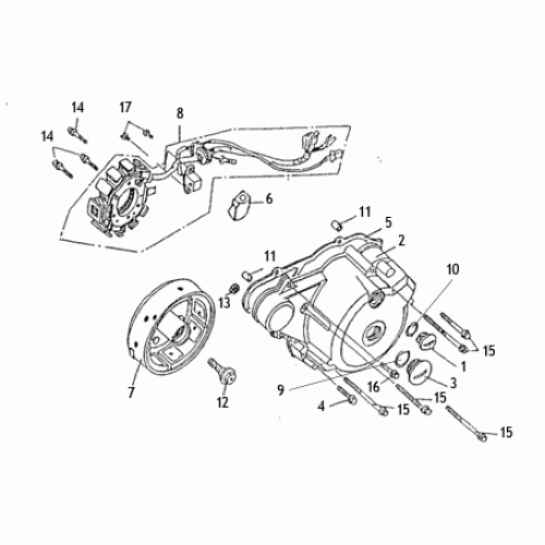 Crankcase Cover LF (Kasea Skyhawk 250 Quad)