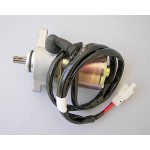 STARTER MOTOR ASSEMBLY