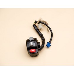 L. Handle Switch Ass'Y