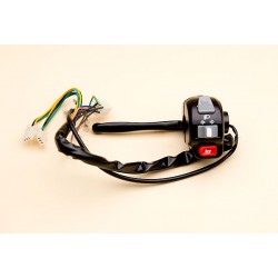 L.Handle Switch Ass'Y