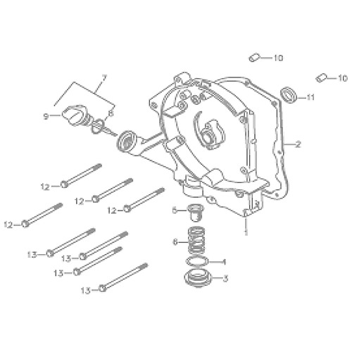 Right Crankcase Cover (Silver Fox (4 Stroke))