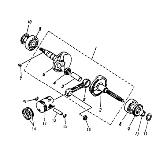 Crankshaft | Pistons (Bombardier Mini DS 50 2T)