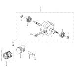 Crankshaft | Pistons