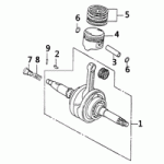 Crankshaft/Piston