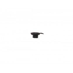 BODY, CAP