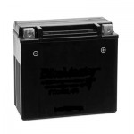 BATTERY ASS'Y (YTX7A-BS)